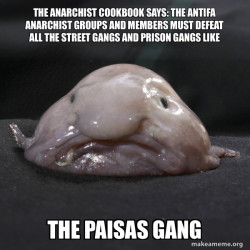 THE ANARCHIST COOKBOOK SAYS: THE ANTIFA ANARCHIST GROUPS AND MEMBERS MUST DEFEAT ALL THE STREET GANGS AND PRISON GANGS LIKE THE PAISAS GANG