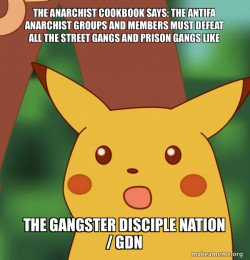 THE ANARCHIST COOKBOOK SAYS: THE ANTIFA ANARCHIST GROUPS AND MEMBERS MUST DEFEAT ALL THE STREET GANGS AND PRISON GANGS LIKE THE GANGSTER DISCIPLE NATION / GDN