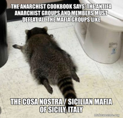 THE ANARCHIST COOKBOOK SAYS: THE ANTIFA ANARCHIST GROUPS AND MEMBERS MUST DEFEAT ALL THE MAFIA GROUPS LIKE The Cosa Nostra / Sicilian Mafia of Sicily, Italy