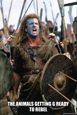 William Wallace