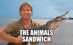 Steve irwin