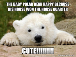 Popular Opinion Bear
