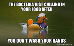 Bacteria :/