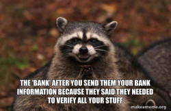 Evil Plotting Raccoon