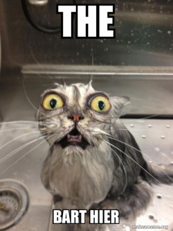 Cat bath