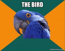 Paranoid Parrot