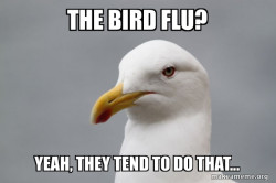 The Bird Flu? Meme