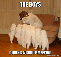 Scumbag Storytelling Dog