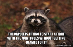 Evil Plotting Raccoon