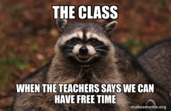 Evil Plotting Raccoon