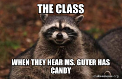 Evil Plotting Raccoon