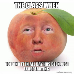 Impeached Donald Trump