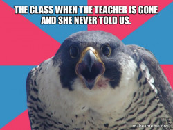 Millennial Falcon
