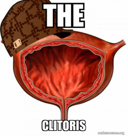 Scumbag Bladder