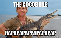 Steve irwin