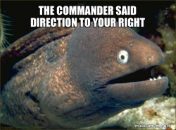 Bad Joke Eel