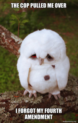 Sad Owl