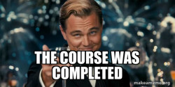 Great Gatsby Reaction - Leonardo DiCaprio Toast