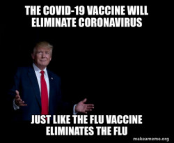 Trump Everything is FIne