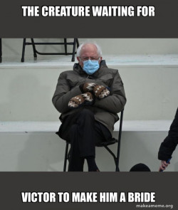 Bernie Sanders at the Inauguration