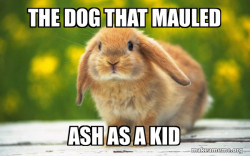 Regretful Rabbit