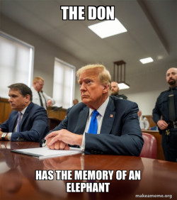 Trump Court Room