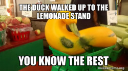 Gourd Advice Mallard
