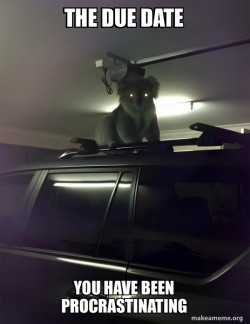 Drop Bear