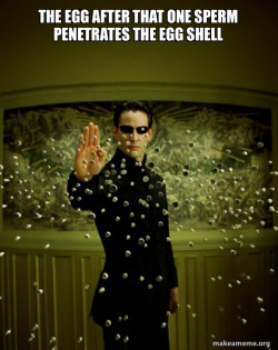 Neo Stopping Bullets