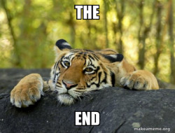 Confession Tiger