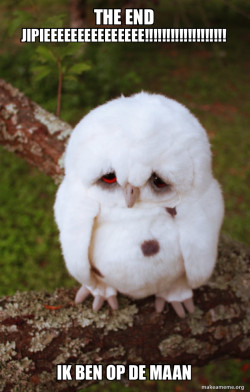 Sad Owl