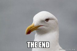 Stuff That Didn't Happen Seagull