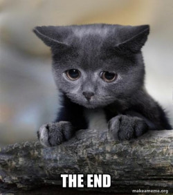 Confession Cat
