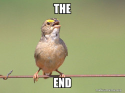 Common Opinion Sparrow