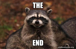 Evil Plotting Raccoon
