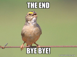 Common Opinion Sparrow