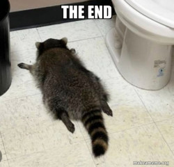 Drunk Raccoon