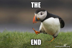 Unpopular Opinion Puffin