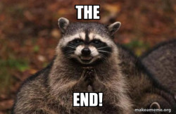 Evil Plotting Raccoon