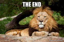 Contemplative Lion