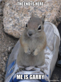 Standover Squirrel