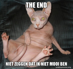 Hairless Cat