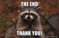 Evil Plotting Raccoon