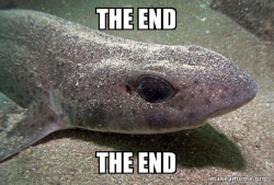 Dirty Joke Dogfish