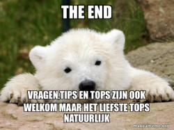 Popular Opinion Bear