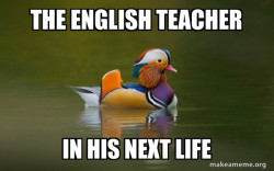 Fashionable Advice Mallard