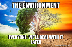 The environment VS The world