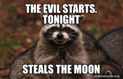Evil Plotting Raccoon