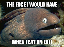 Bad Joke Eel