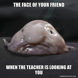 Blobfish